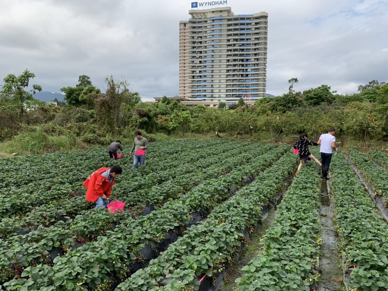 膜結(jié)構(gòu)車(chē)棚
