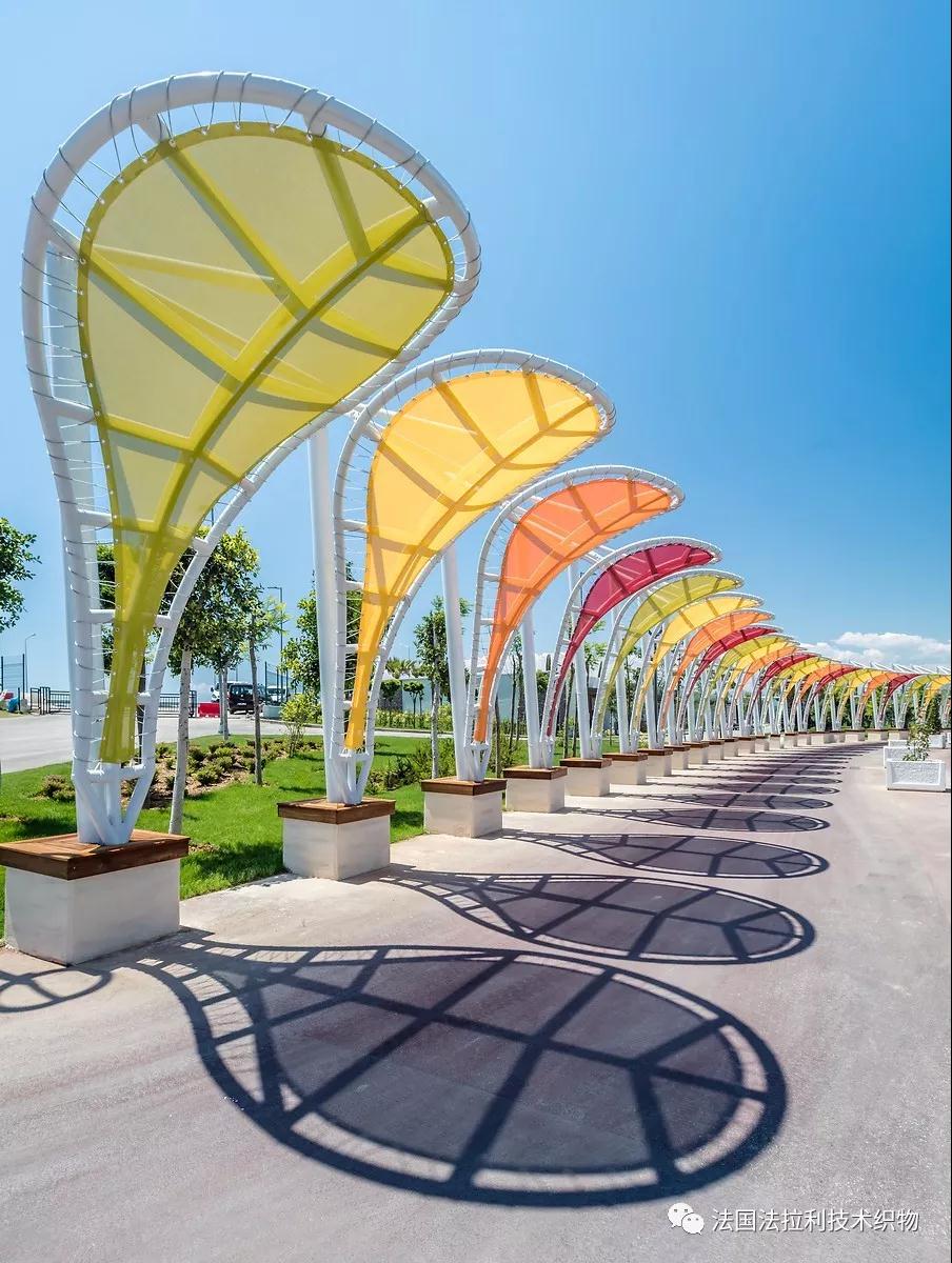 1590838684580200.jpg 1535331643593318.jpg